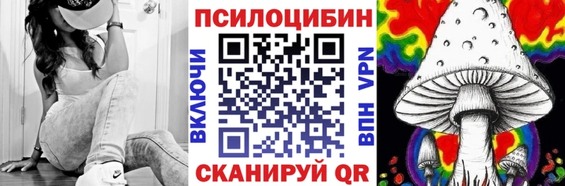 Галлюциногенные грибы Psilocybine cubensis  Невельск 